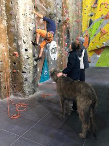 A climber ascends the wall, watched by a large shaggy dog (Irish Wolfhound) and 2 people, one of whom works the belay rope, the other rests a hand on the dog