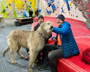 A very large shaggy dog (Irish Wolfhound) enjoys a scratch round the ears from two climbers