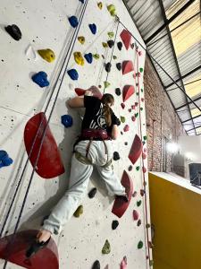 A climber is pressed against the wall, her feet standing on two volumes as she plans her next moves.
